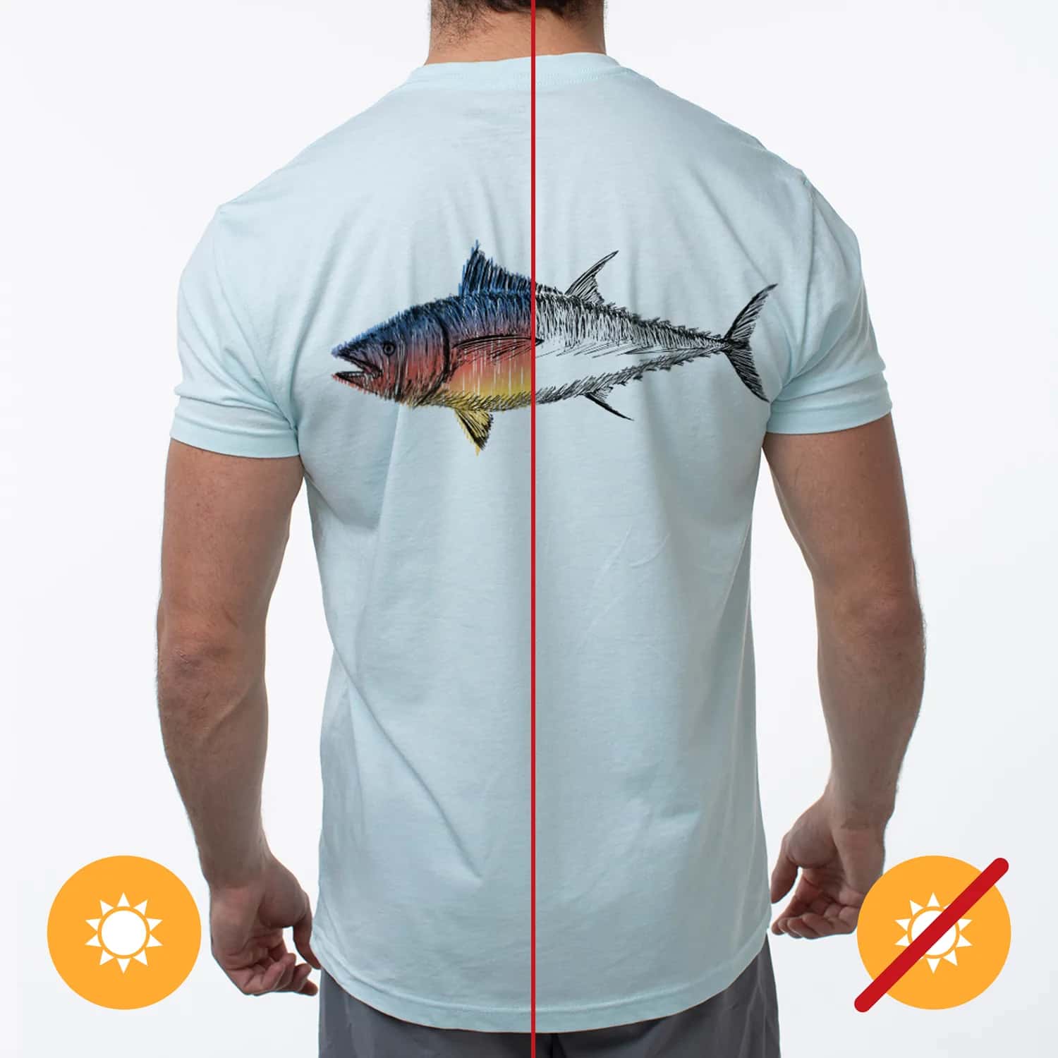 Del Sol Big Fish for Men